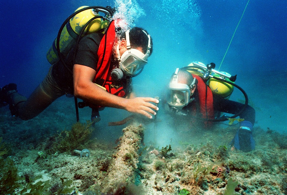 ﻿des poissons clowns à Bali